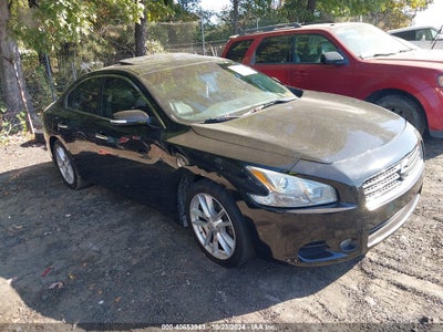 NISSAN MAXIMA 2011