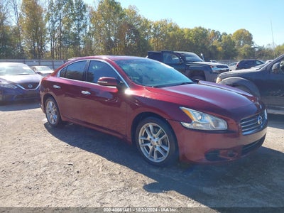 NISSAN MAXIMA 2010