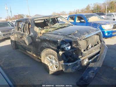 FORD F-150 2008