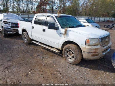 FORD F-150 2004