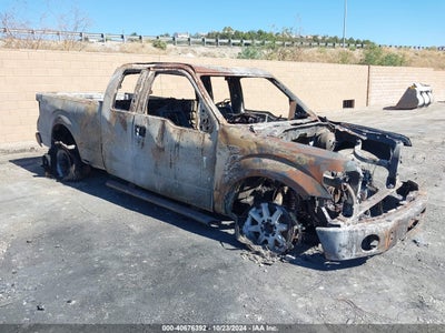 FORD F-150 2014