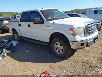 FORD F-150 2010