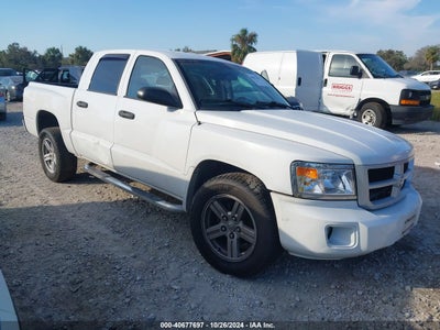 RAM DAKOTA 2011