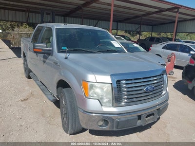FORD F-150 2010