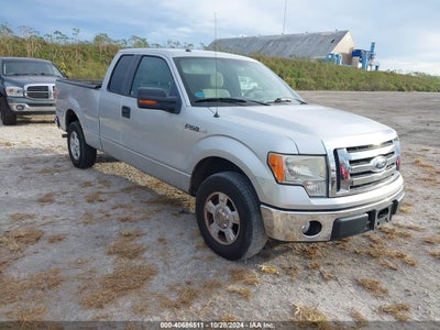 FORD F-150 2010