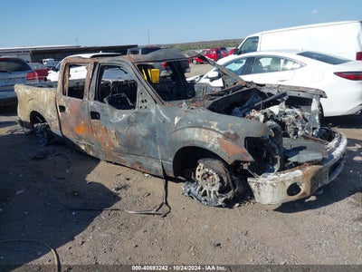 FORD F-150 2009