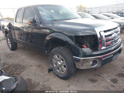 FORD F-150 2009