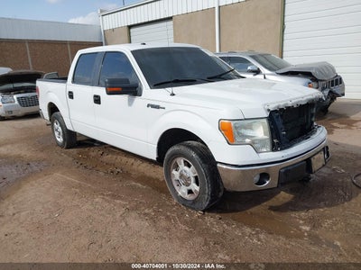 FORD F-150 2009