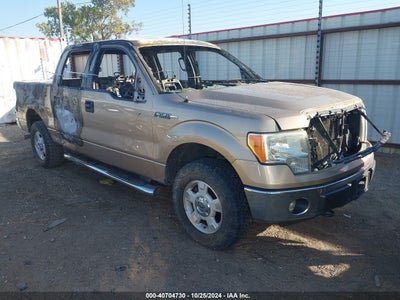 FORD F-150 2013