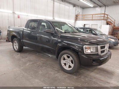 RAM DAKOTA 2011