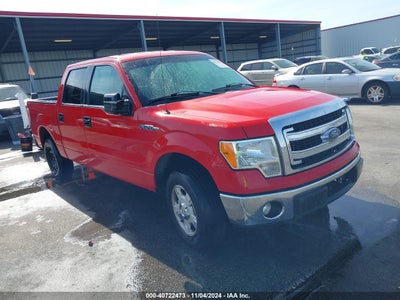 FORD F-150 2013