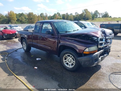 DODGE DAKOTA 2004