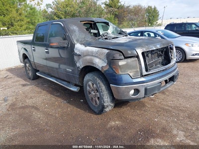 FORD F-150 2013