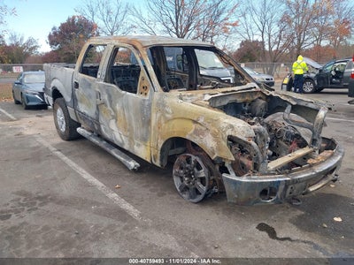 FORD F-150 2010