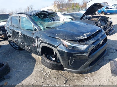 TOYOTA RAV4 HYBRID 2024