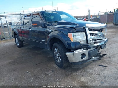 FORD F-150 2013