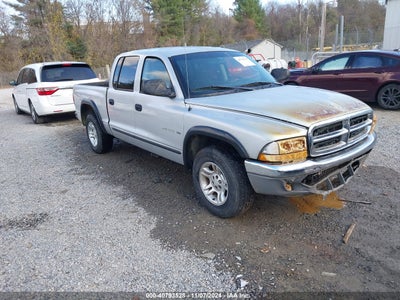 DODGE DAKOTA 2001