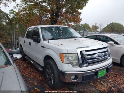 FORD F-150 2011