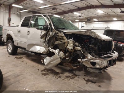 FORD F-150 2010