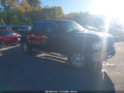 FORD F-150 2010