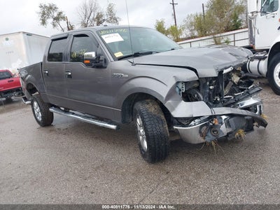 FORD F-150 2013