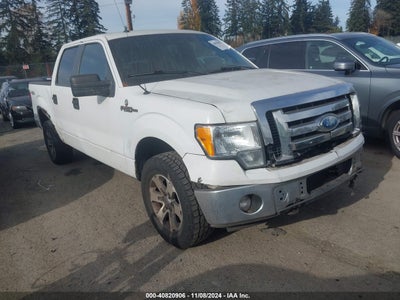 FORD F-150 2009