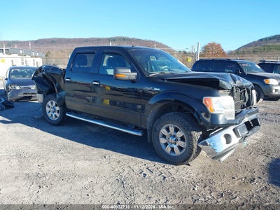 FORD F-150 2011