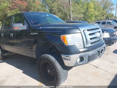 FORD F-150 2009