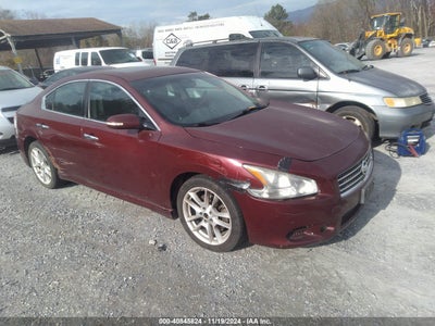 NISSAN MAXIMA 2010