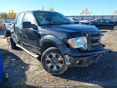 FORD F-150 2014