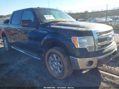 FORD F-150 2014