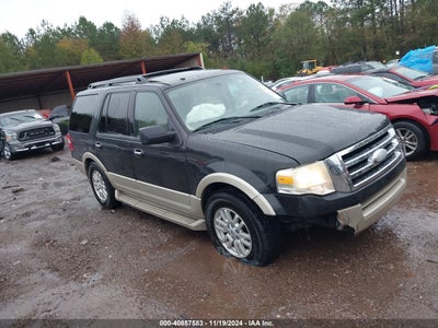 FORD EXPEDITION 2010