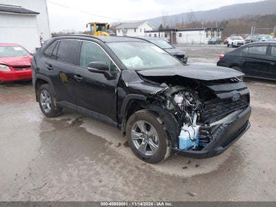 TOYOTA RAV4 HYBRID 2024