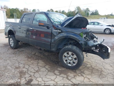 FORD F-150 2011