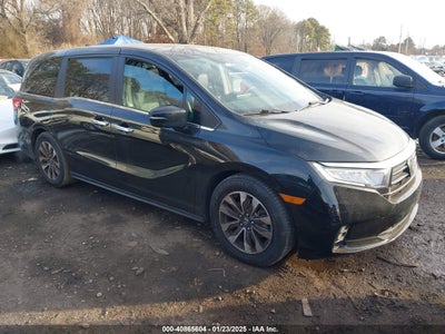 HONDA ODYSSEY 2022