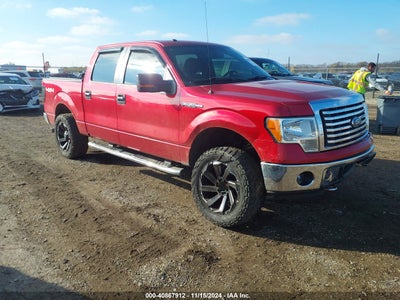 FORD F-150 2011