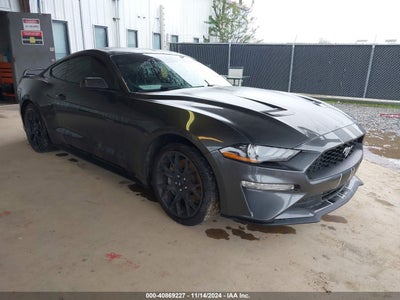 FORD MUSTANG 2019