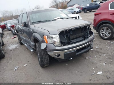 FORD F-150 2013