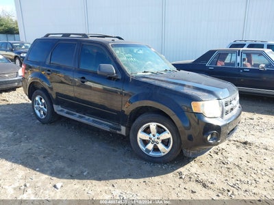 FORD ESCAPE 2010