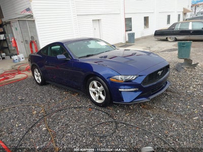 FORD MUSTANG 2019