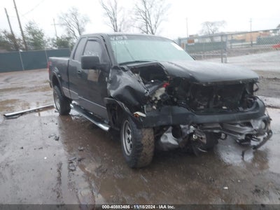 FORD F-150 2007