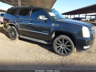 CADILLAC ESCALADE 2010