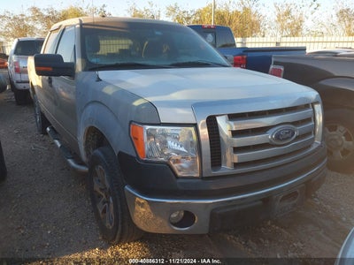 FORD F-150 2009