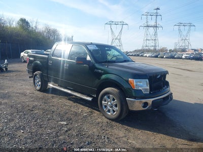 FORD F-150 2014