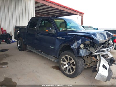 FORD F-150 2014