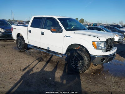 FORD F-150 2010