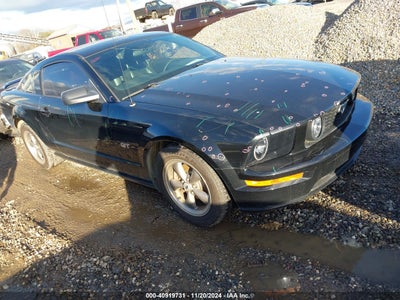FORD MUSTANG 2005