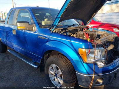 FORD F-150 2010