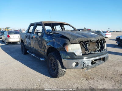 FORD F-150 2009