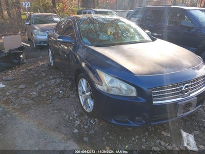 NISSAN MAXIMA 2009